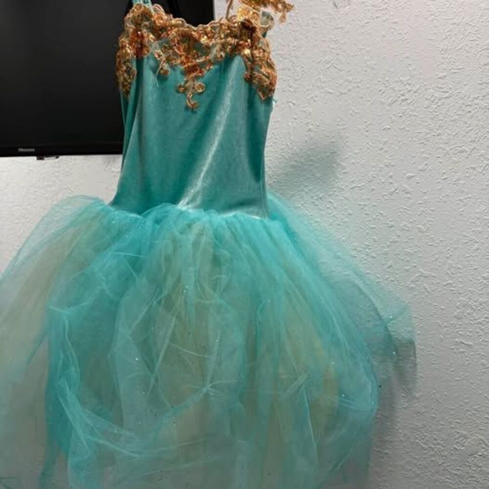 Teal Velvet and Tulle Dance Costume with Gold Sequins